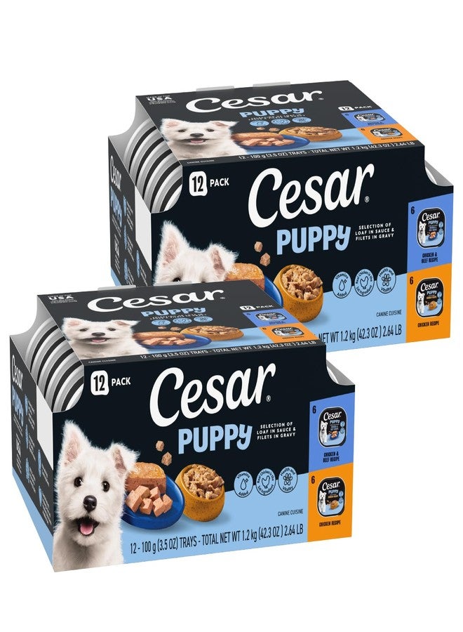 Cesar Puppy Classic Loaf in Sauce and Filets in Gravy Wet Dog Food Variety Pack, Chicken & Beef and Chicken Recipes, 3.5 oz. Easy Peel Trays, Dog Food Toppers, 12 Count (Pack of 2) - Image 1